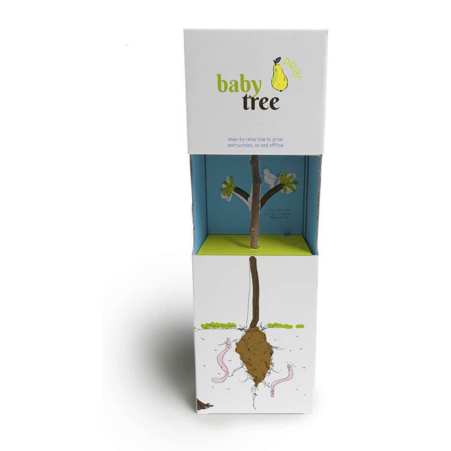 Cvetlični lončki, škatlica, korito Baby tree – posadi svoje drevo