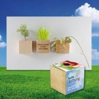 Cvetlični lončki, škatlica, korito Rastlinica v lesenem lončku – magnet