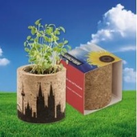 Cvetlični lončki, škatlica, korito Rastlinica v plutastem lončku