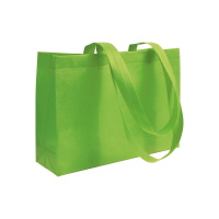 Non Woven Non-woven shopping bag Renata 70 g/m2