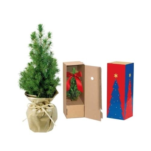 Flower pots, box, trough Little christmas tree in paper