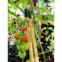 Sprout Darilni set – 2 svinčnika