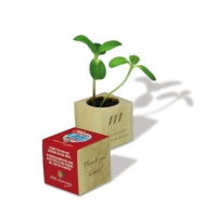 Plants in Different Packaging Plant cube
