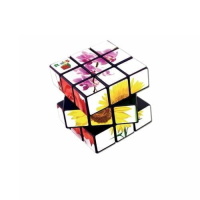 Brain Teaser Rubik’s cube made from recycled plastic