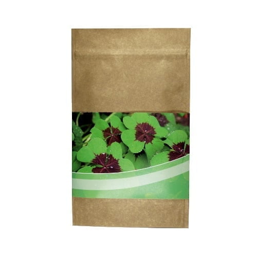 Plants in Different Packaging Plant Luck Bag