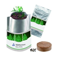 Flower pots, box, trough Christmas tree in a bag