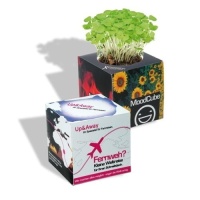 Flower pots, box, trough Plant cube