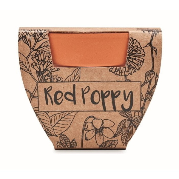 Plants in Different Packaging Terracotta pot ‘poppy’