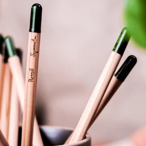 Izpostavitev znamke: Svinčnik Sprout, ki navdušuje privržence trajnostnega življenja