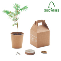 Plants in Different Packaging Pine tree set