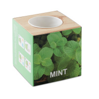 Flower pots, box, trough Herb pot wood “MINT”