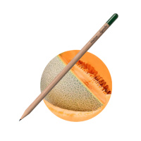 Sprout Svinčnik melona