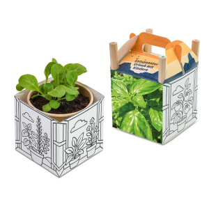 Flower pots, box, trough Color & Grow House
