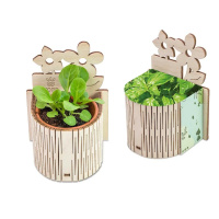 Flower pots, box, trough My Tiny Garden – Flower