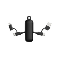 Chargers & Cables Urban Vitamin Dublin 100W 4 -in-1 keychain cable